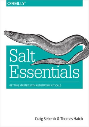 Salt Essentials (e-book)