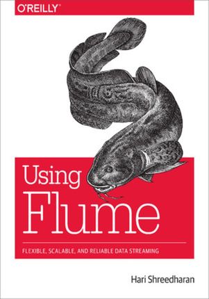 Using Flume. Flexible, Scalable, and Reliable Data Streaming (e-book)
