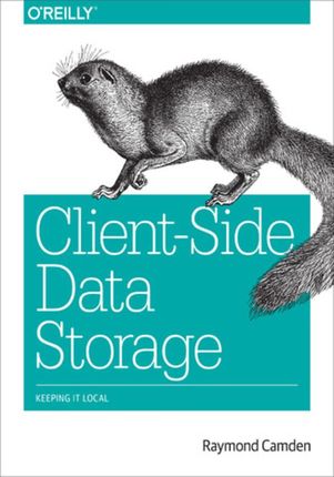 Client-Side Data Storage. Keeping It Local (e-book)
