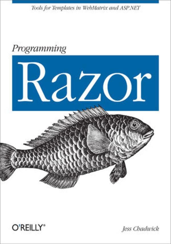 Programming Razor. Tools for Templates in MVC or Matrix (ebook) Ceny i opinie