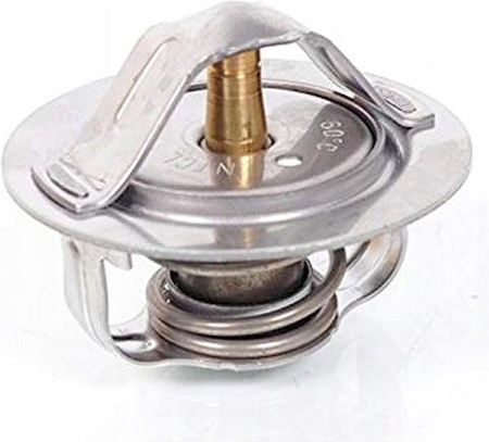 1173Aa Buy Thermostat 8-97300790-2 8973007902 for Hitachi Excavator