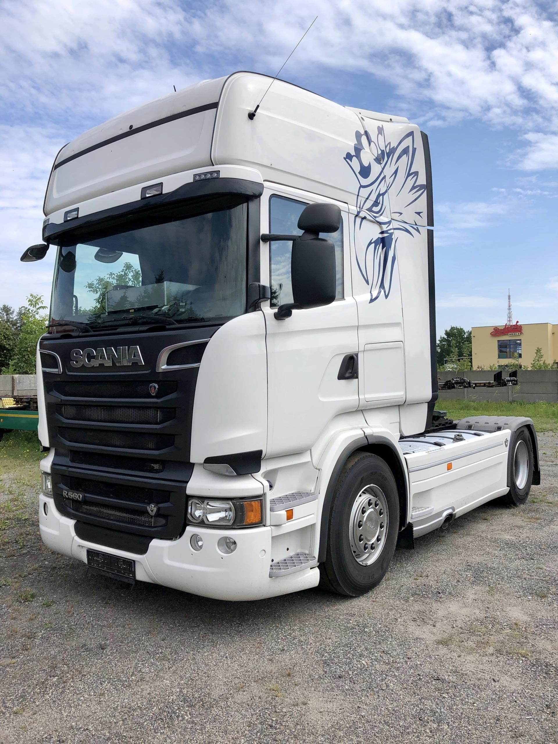 SCANIA R560 V8 - Opinie i ceny na Ceneo.pl