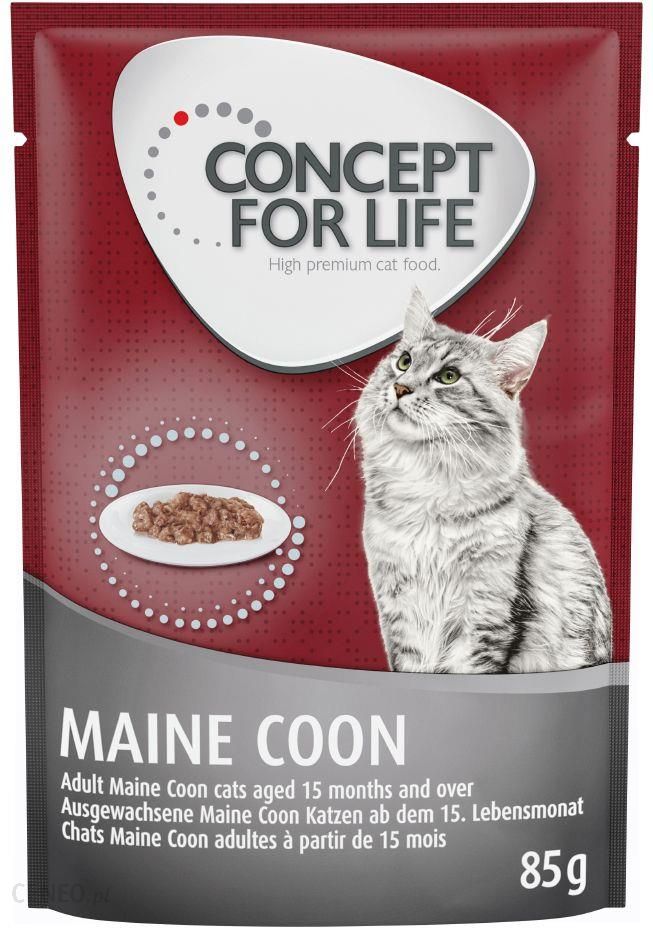 Concept For Life Maine Coon Adult Ragout 12X85 G
