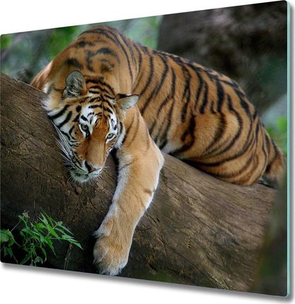 Tulup Deska do krojenia kuchenna Tygrys na drzewie 60X52cm (PLDK60X52NN4289086)