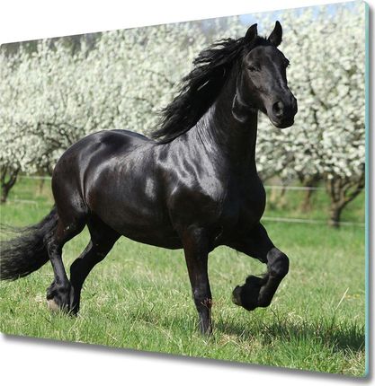 Tulup Deska do krojenia kuchenna Czarny koń kwiaty 60x52cm (PLDK60X52NN51258832)
