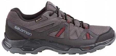 Salomon Rhossili Gtx Magnet 409230 Ceny i opinie