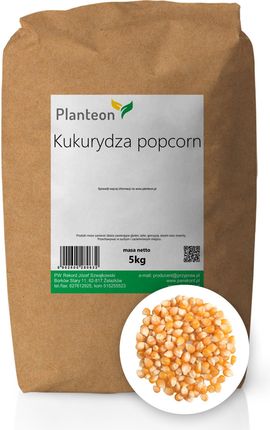 Kukurydza popcorn 5kg