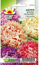 Zdjęcie Toraf KWIATY Aster peoniowy mix nasiona 1g - Szadek