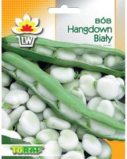 Zdjęcie Bób Hangdown nasiona warzyw 50g TORAF - Parczew