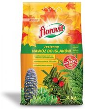 Zdjęcie Florovit Nawóz Jesienny Do Iglaków Florovit 3Kg - Turek
