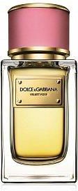 Dolce gabbana shop velvet rose