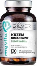 Zdjęcie Proness Krzem Organiczny Z Pędów Bambusa 300 Mg 120Kaps. - Kołobrzeg