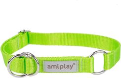 Zdjęcie amiplay Samba Obroża półzaciskowa XL 40-60x2,5cm zielony - Tychy