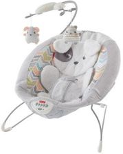 Fisher-Price Deluxe rocker u szczeniaka Design GWD50