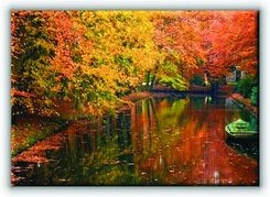 Jesiennie, jeziorko w lesie - Obraz na płótnie 2 - zdjęcie 1