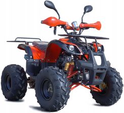 Zdjęcie Quad ATV DUŻY 125 cc MODEL N PREMIUM Automat 8' - Sobótka
