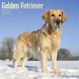 Golden Retriever 2021 Wall Calendar Literatura Obcojezyczna Ceny I Opinie Ceneo Pl