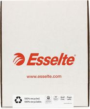 Zdjęcie Esselte Koszulki Groszkowe A4 Maxi Karton 100Mic Premium (50) - Oświęcim