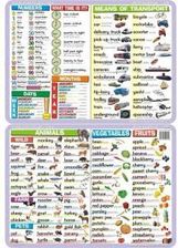 Zdjęcie Podkładka edukacyjna 039 Język Angielski. Animals, Vegetables, Fruits, Numbers, Means of Transport - Krosno