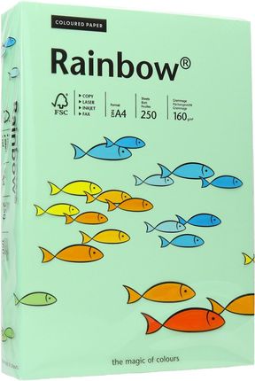 Rainbow Papier Ksero A4 160G Przygaszzieleń 75