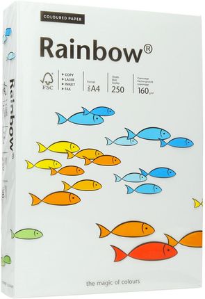 Rainbow Papier Ksero A4 160G Jasnoszary 93