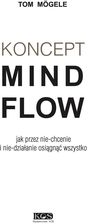 Zdjęcie Koncept MindFlow - Piechowice