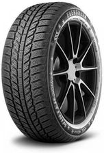 Evergreen EW62 195/60R15 88 T  