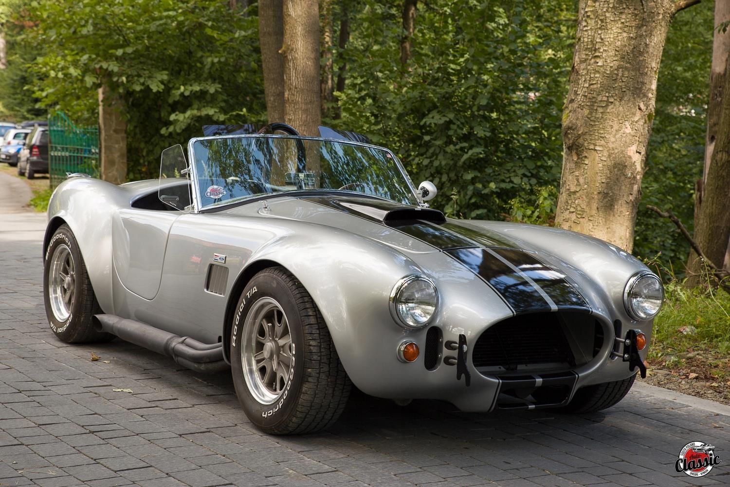 Ac Cobra 1965r 302ci 5 0l 325km Auto Classic Opinie I Ceny Na Ceneo Pl