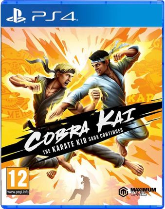 Cobra Kai The Karate Kid Saga Continues (Gra PS4)