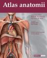 Gilroy Atlas anatomii