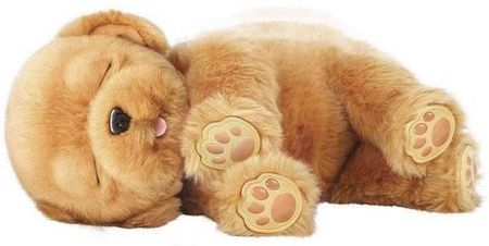 Interactive Pet Little Live Pets Sleepy Puppy Famosa 700013210
