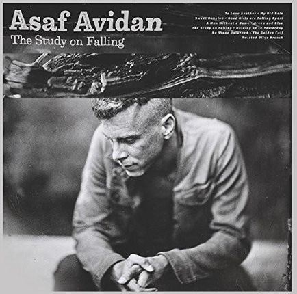 Asaf Avidan - Study On Falling (CD)