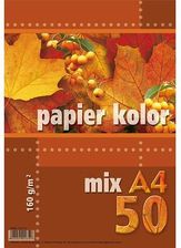 Zdjęcie Kreska Papier Ksero Kolorowy A4 50KMix 160G - Piaski