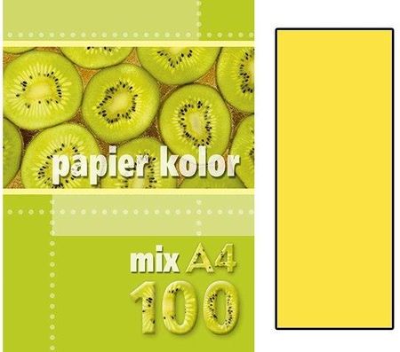 Kreska Papier Ksero Kolorowy A4 100KŻółty (Jk)