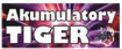 Tiger 12V 100Ah 720 A (P+)