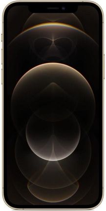 Apple - reoreo iPhone 12 Pro Max ゴールド 256 GB iPhone 12 Pro Max 256GB Gold - Produkt odnowiony | Allo Allo