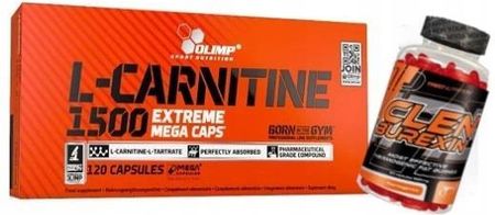 l-carnitina insuficiencia renal CN Renal