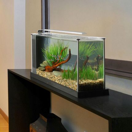 Fluval Spec V 19L Aquarium Kit | The Tech Den