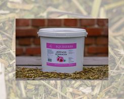 Zdjęcie Equiherbs Jeżówka Echinacea Dla Koni 1 Kg Equiherbsjeżówkaechinacea  - Drobin