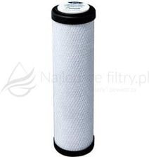 Bwt Cto Filtr Wymienny, Węglowy 2 5''x10'' Filtr Wstępny Do Pure Aquacalcium