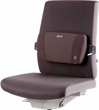 Zdjęcie Fellowes Podpórka Pod Plecy Plusch Touch (8026501) - Alwernia