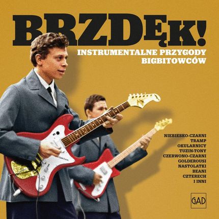 Various Artists - Brzdęk! Instrumentalne przygody bigbitowców (CD)
