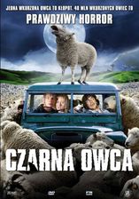 Zdjęcie Czarna owca (DVD) - Września