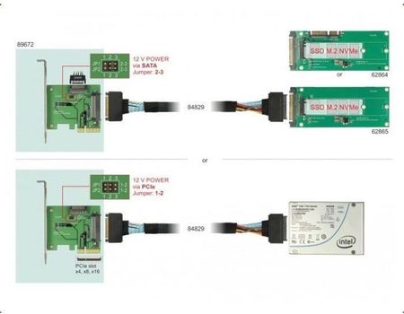DELOCK  PCIE X4 CARD>1X INT. NVME BLUE - SFF-8639 (89672)