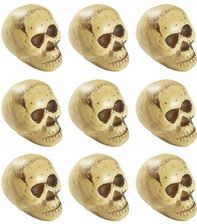 Zdjęcie WIDMANN ZESTAW CZASZEK, CZACHA, HALLOWEEN, DEKORACJE 8705T - Środa Śląska