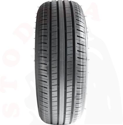 Triangle Winter X TW401 205/55 R16 94 V XL