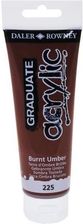 Zdjęcie Daler-Rowney Farba Akrylowa Graduate Acrylic 120Ml Burnt Umber (D 123 150 Pr101/Pbk7) - Lębork