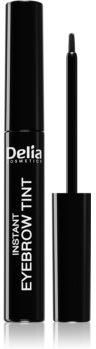 Delia Cosmetics Eyebrow Expert Eyebrow Expert farbka do brwi odcień 1.0 BLACK 6 ml