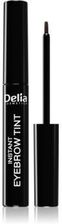 Zdjęcie Delia Cosmetics Eyebrow Expert Eyebrow Expert farbka do brwi odcień 4.0 BROWN 6 ml - Skępe