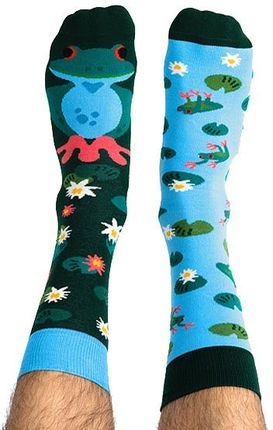 Skarpety kolorowe z serii Happy Friends Socks żaba Frogilla